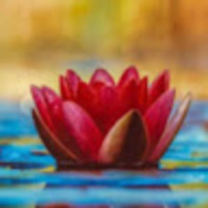 Meet your Posher, Tisha